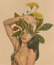 kismet