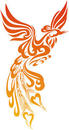 fyahbird