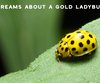 Join our community of trusted advisors